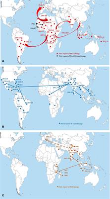 Molecular Epidemiology, Evolution and Reemergence of Chikungunya Virus in South Asia